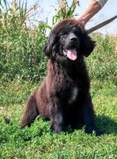 Превью фото № 229991