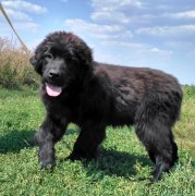 Превью фото № 229996