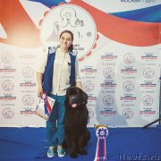 Превью фото № 230038