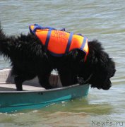 Превью фото № 230054