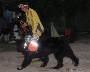 Превью фото № 230058