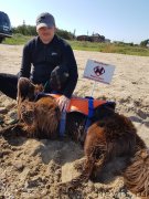 Превью фото № 230151