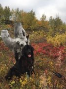 Превью фото № 230188