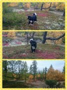 Превью фото № 230189