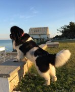 Превью фото № 230217