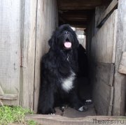 Превью фото № 230221