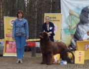 Превью фото № 230252