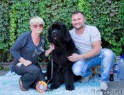 Превью фото № 230280