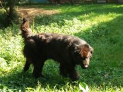 Превью фото № 230283