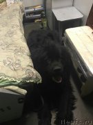 Превью фото № 230310