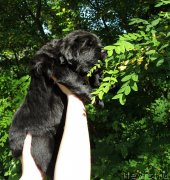 Превью фото № 230311