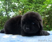 Превью фото № 230326