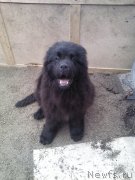 Превью фото № 230386