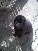 Превью фото № 230387