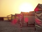 Превью фото № 230394