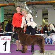 Превью фото № 230422