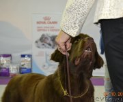 Превью фото № 230423