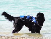 Превью фото № 230444