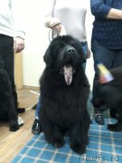 Превью фото № 230449