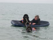 Превью фото № 230456