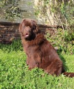 Превью фото № 230512