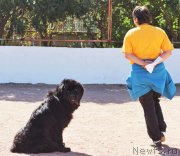 Превью фото № 230571