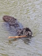 Превью фото № 230602