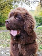 Превью фото № 230637