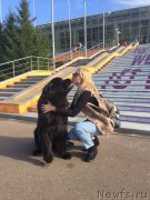 Превью фото № 230642