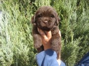 Превью фото № 230688