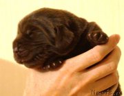 Превью фото № 230700