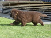 Превью фото № 230708