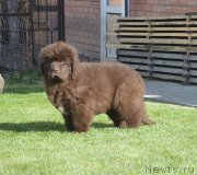 Превью фото № 230716