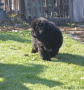 Превью фото № 230728