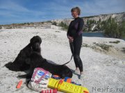 Превью фото № 230736