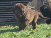 Превью фото № 230802