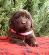 Превью фото № 230811