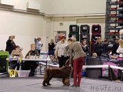 Превью фото № 230814