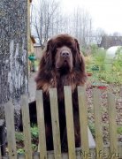 Превью фото № 230889