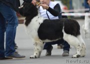 Превью фото № 230902