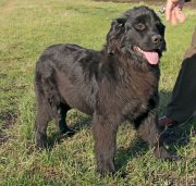 Превью фото № 230920