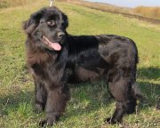 Превью фото № 230923