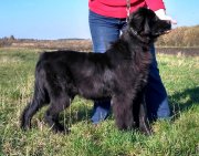 Превью фото № 230927