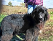 Превью фото № 230941