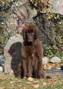 Превью фото № 230956