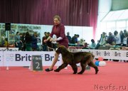 Превью фото № 230959