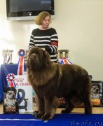 Превью фото № 230963