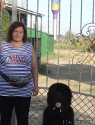 Превью фото № 230964