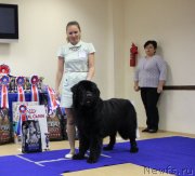 Превью фото № 231020