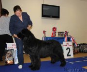 Превью фото № 231029